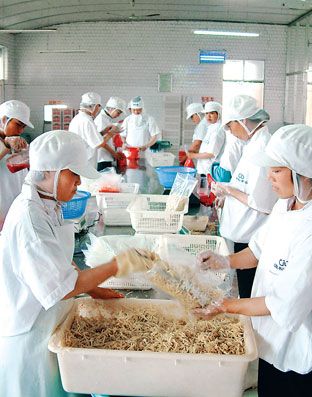 东海县大力发展外向型农产品加工企业(图)