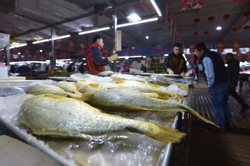 市场不卖 餐馆不做 上海发起长江禁渔行业自律倡议活动