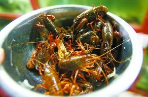 吃小龙虾悠着点 专家提醒吃死虾易引发铅中毒